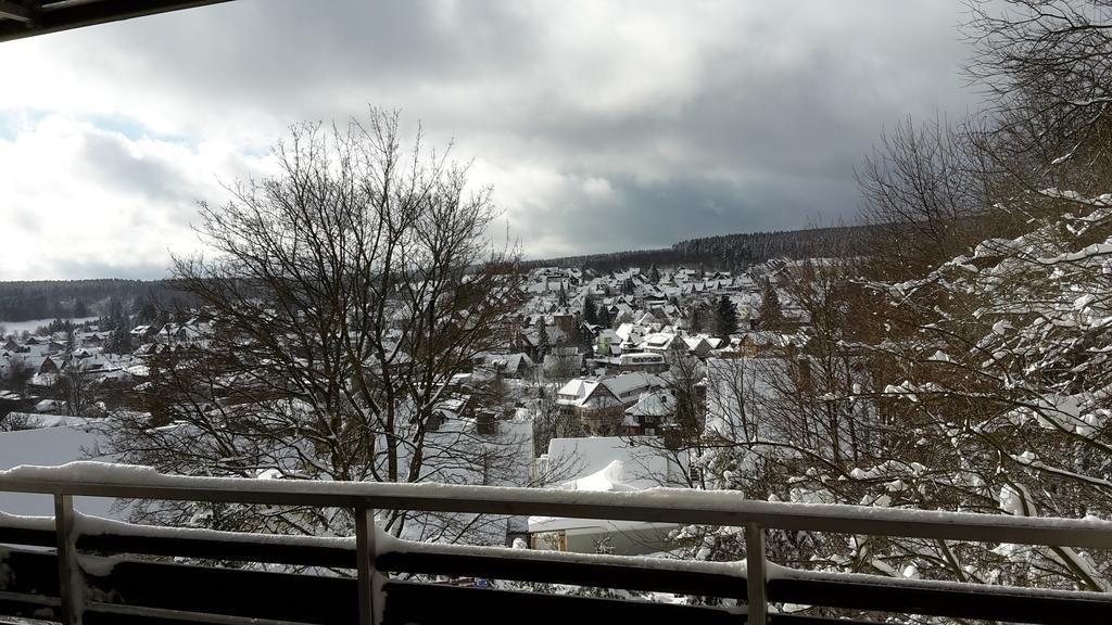 Apartment Nelson Braunlage