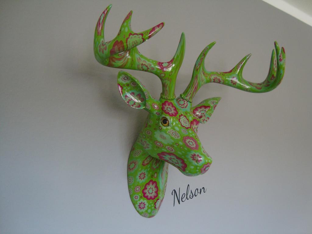 Nelson Apartment